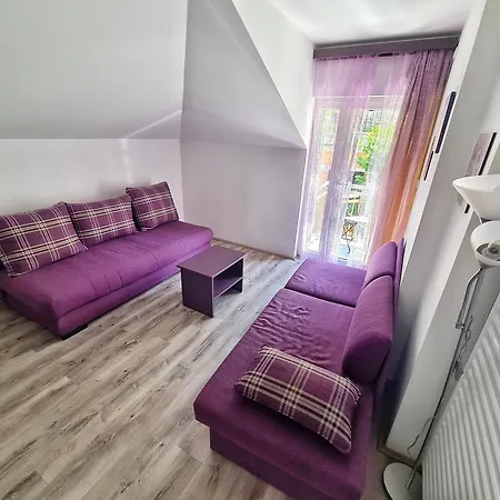 Maja V Apartmani Sokobanja Exterior photo