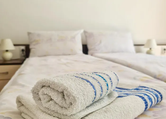 Maja V Apartmani Sokobanja
