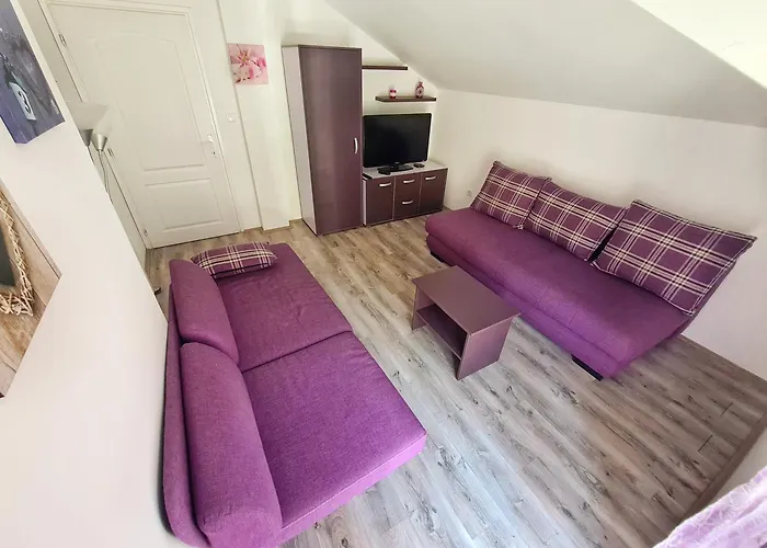 Maja V Apartmani Sokobanja