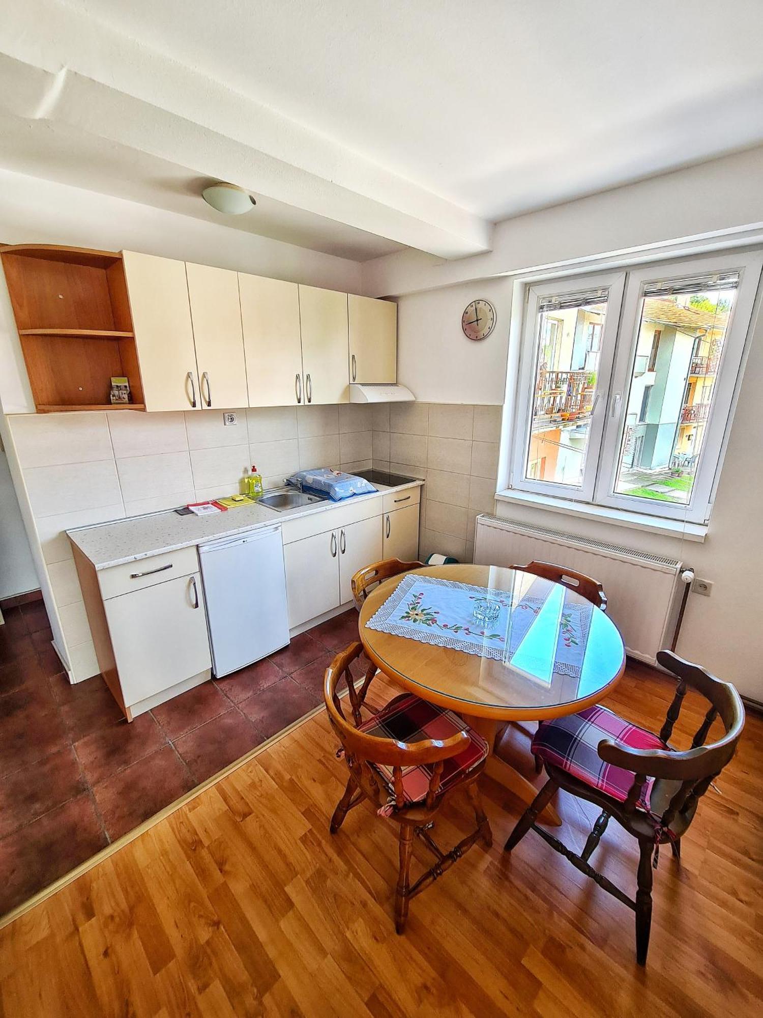 Apartment Maja V Soko Banja